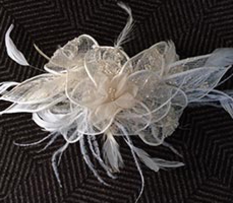fascinator-3